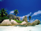 Summer wallpapers60